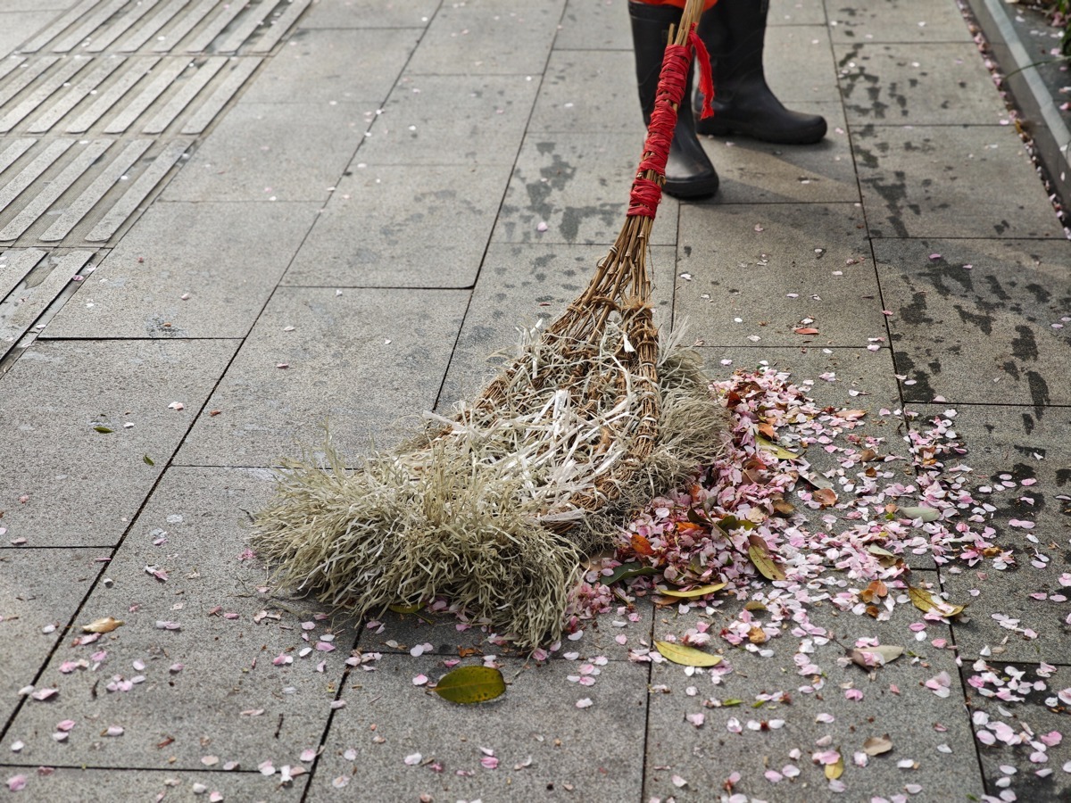 江岸环卫工自创清扫“神器”,让恼人的树绒“服服帖帖”3.jpg