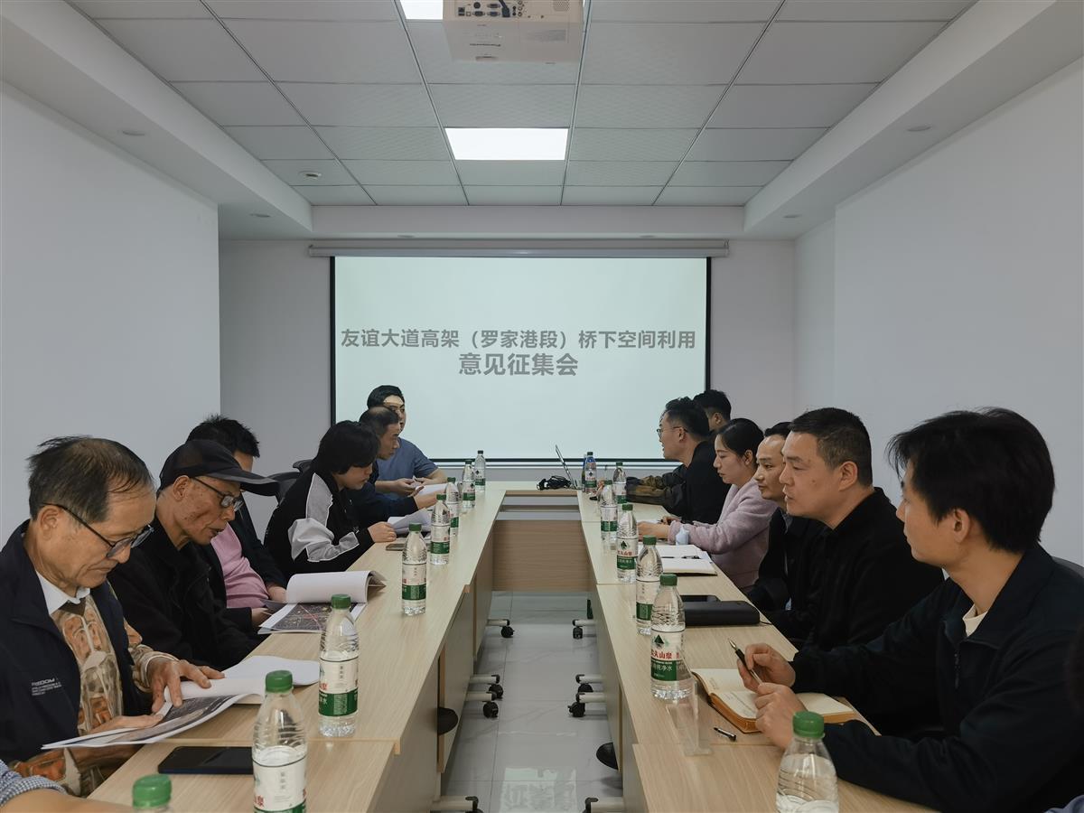 问计于民为民生空间积极赋能,“一桥一策”迸发桥下空间无限活力2.jpg