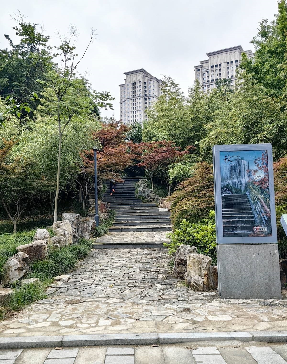 江汉区:王家墩公园拆掉围墙,成为居民“后花园”3.jpg
