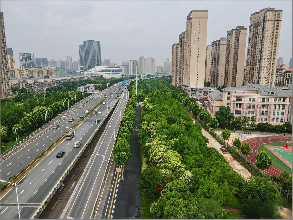 汉阳区:桥下空间“变形记”,汉阳巧用边角地破解校园出行难题3.jpg