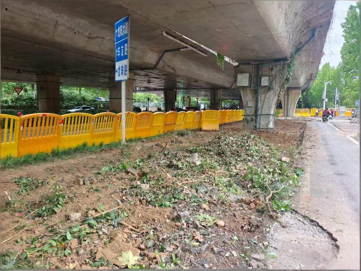 汉阳区:桥下空间“变形记”,汉阳巧用边角地破解校园出行难题4.jpg
