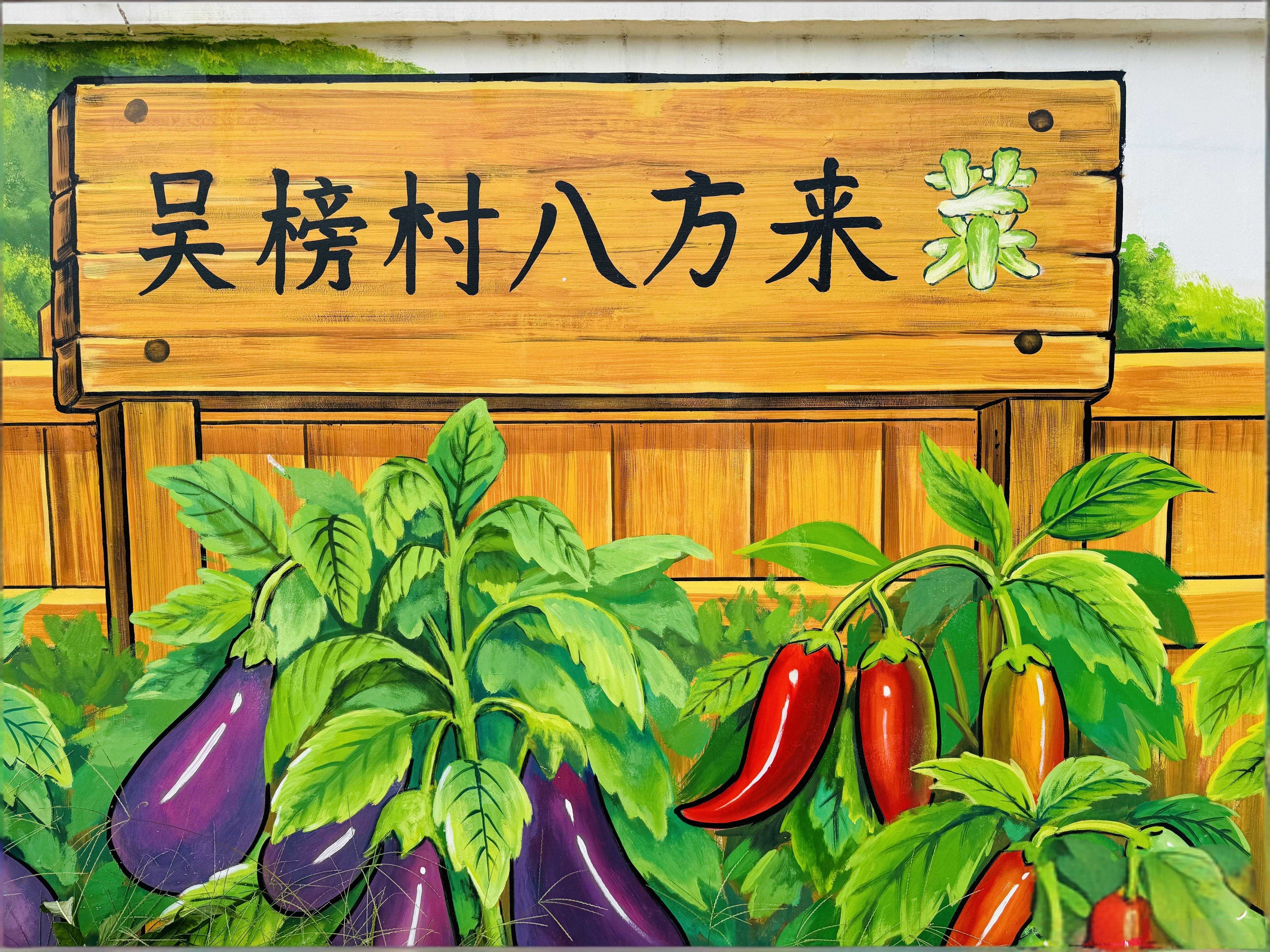 村湾建起共享菜园:企业定、村民种2.jpeg