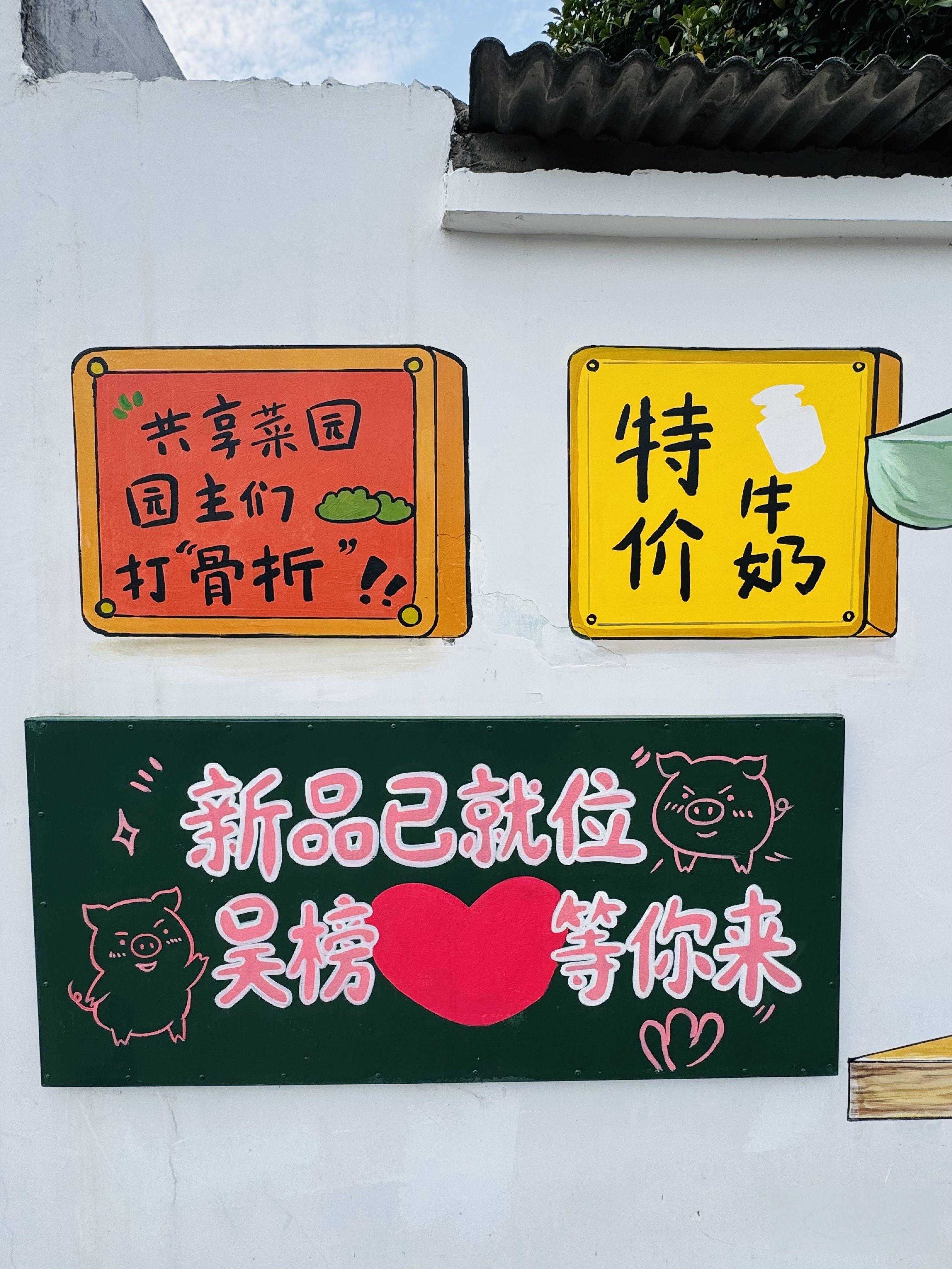 村湾建起共享菜园:企业定、村民种4.jpeg