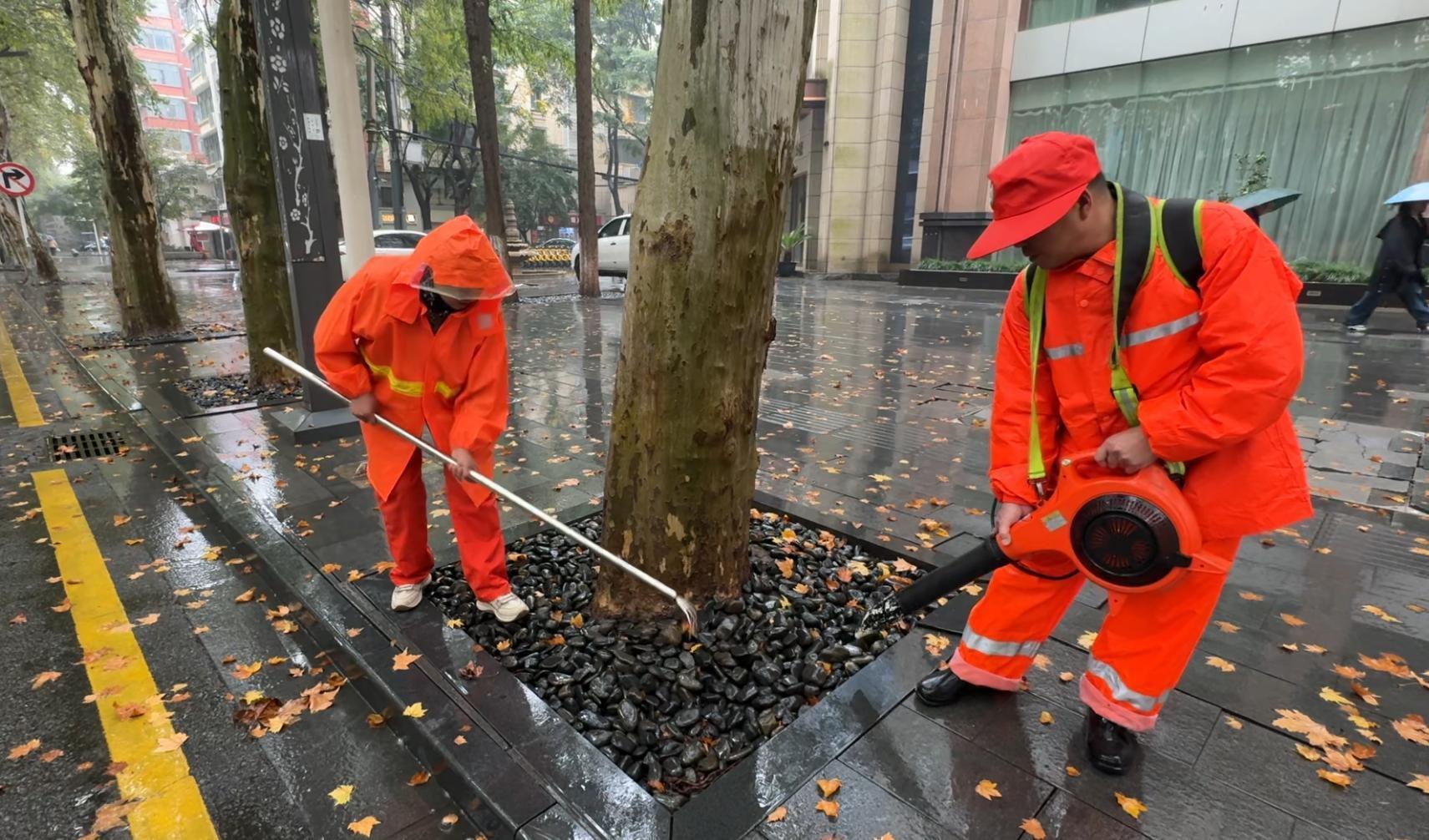 江岸区雨天扫落叶有技术含量3.jpg