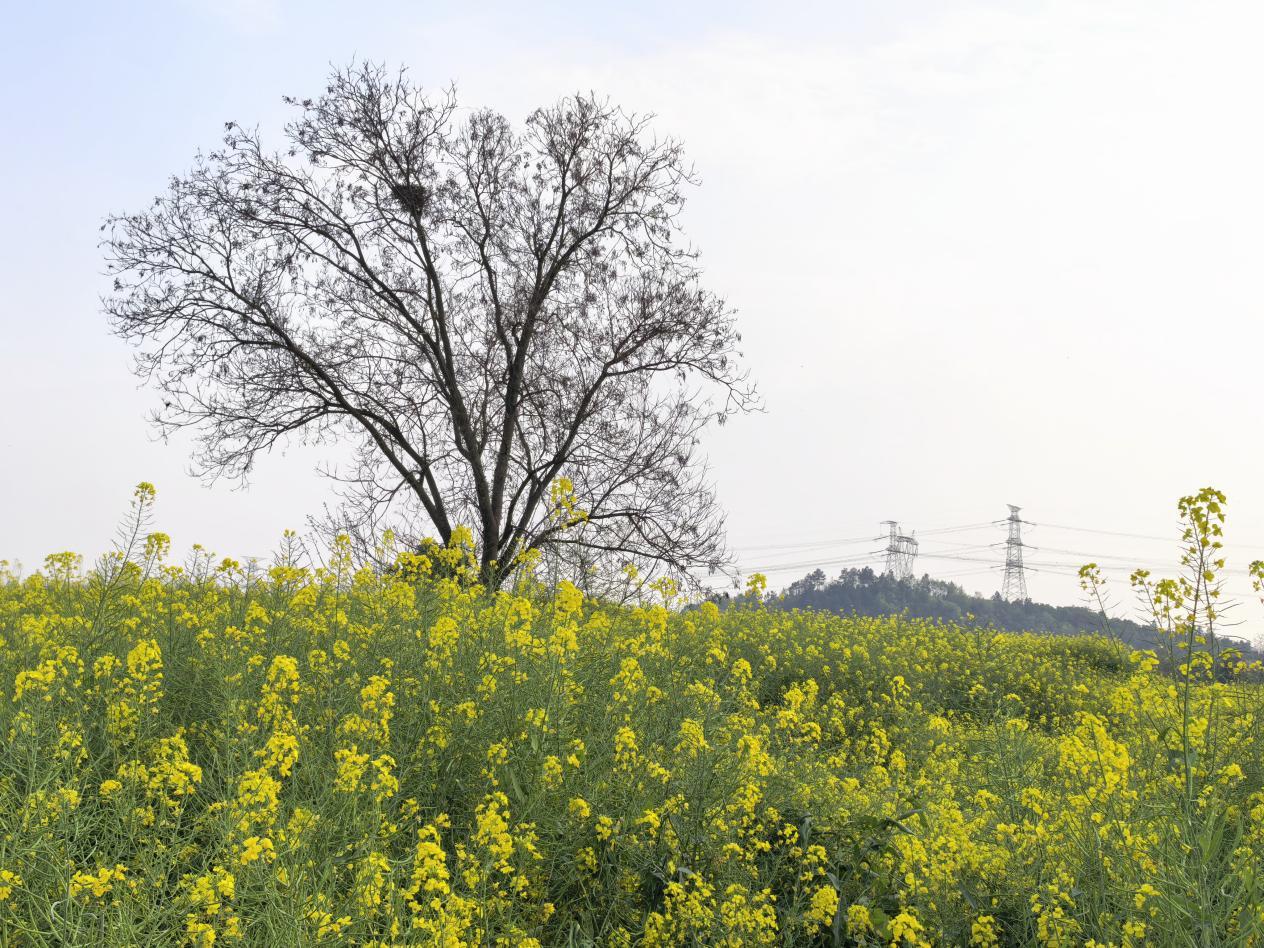 提笔能写举机能拍 经开城管宣传骨干“下田”练硬功3.jpg