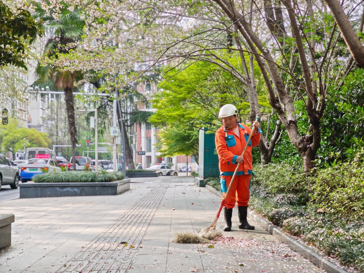江岸环卫工自创清扫“神器”,让恼人的树绒“服服帖帖”2.jpg