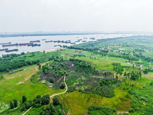 青山区:工业的“锈色肌理”,化作诗意的生活空间2.jpg