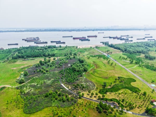 青山区:工业的“锈色肌理”,化作诗意的生活空间3.jpg