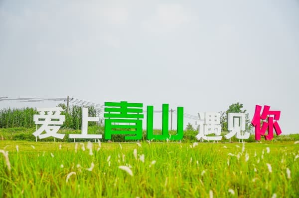 青山区:工业的“锈色肌理”,化作诗意的生活空间5.jpg