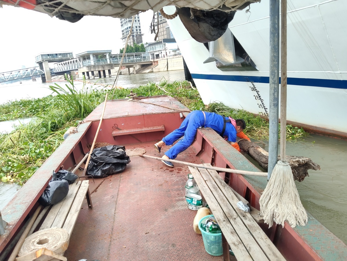 水域中心:水葫芦“排队”漂到江汉武汉段,水上环卫工人全力围剿2.jpg
