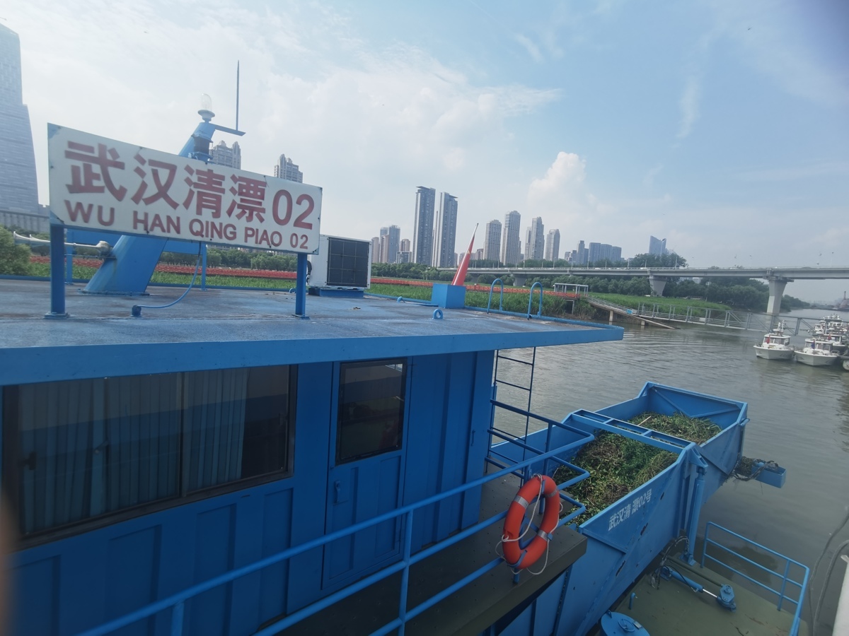水域中心:水葫芦“排队”漂到江汉武汉段,水上环卫工人全力围剿5.jpg