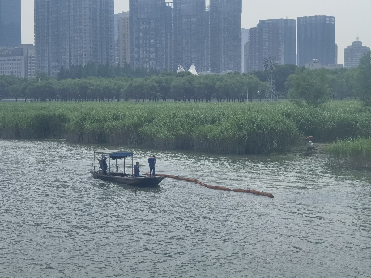 水域中心:水葫芦“排队”漂到江汉武汉段,水上环卫工人全力围剿6.jpg