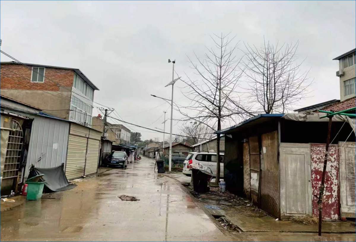 东西湖区:95后开咖啡馆、00后做花艺,曾经的“废品村”吸引年轻人扎堆2.jpg