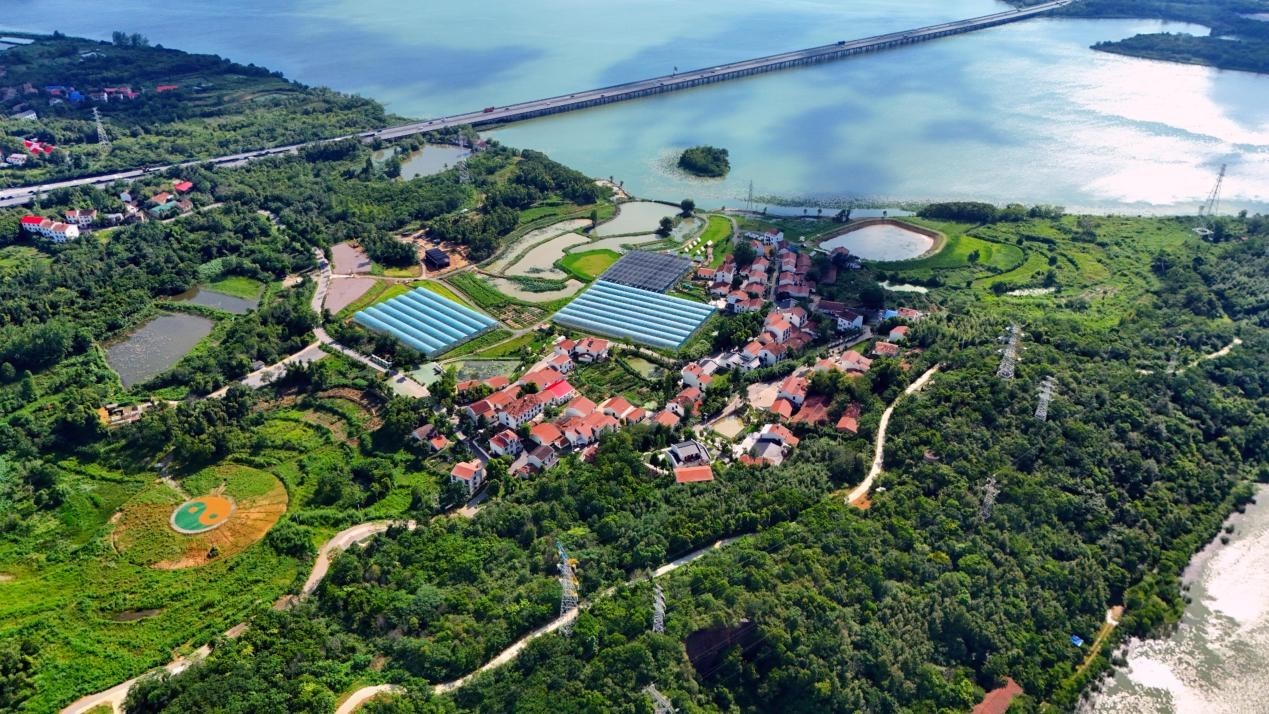 绣花功夫编织城市环境新画卷③从荆风楚韵的“城市窗口” 看武汉内涵式“城长”1.jpg