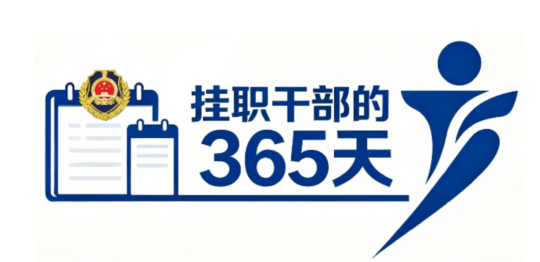 挂职干商的365天.png