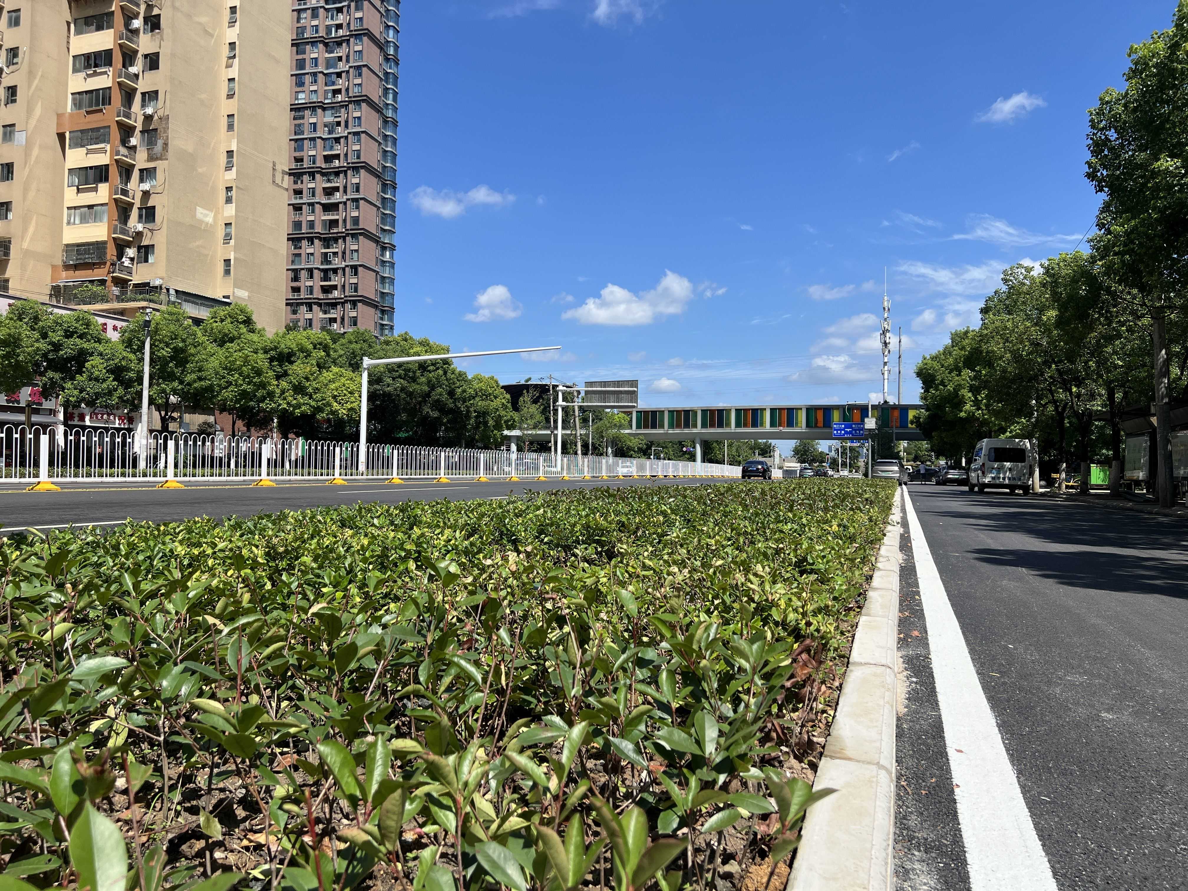 青山区:12号线二期还路,花坛线型微调为小区出入口“让”出更多通行空间2.jpeg