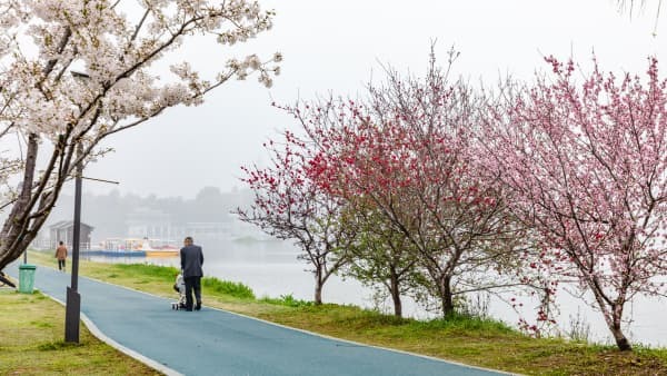 用“生态绿道”串起“经济线” 绘就产城融合新图景9.jpg