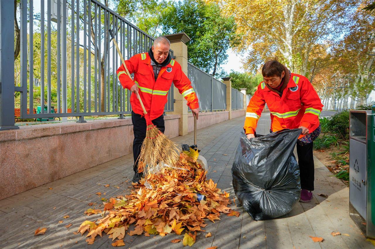东湖南路满眼梧桐黄一路保洁忙3.jpg