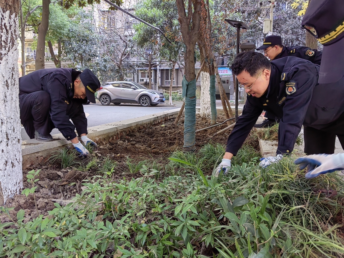 一年涌现暖心故事200余起,青山区城管队员传递城市温度4.jpg